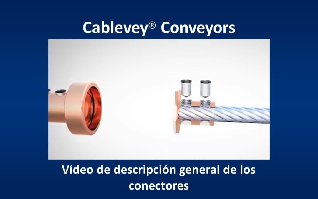 Cómo optimizar tu sistema de conveyor usando baleros 1276