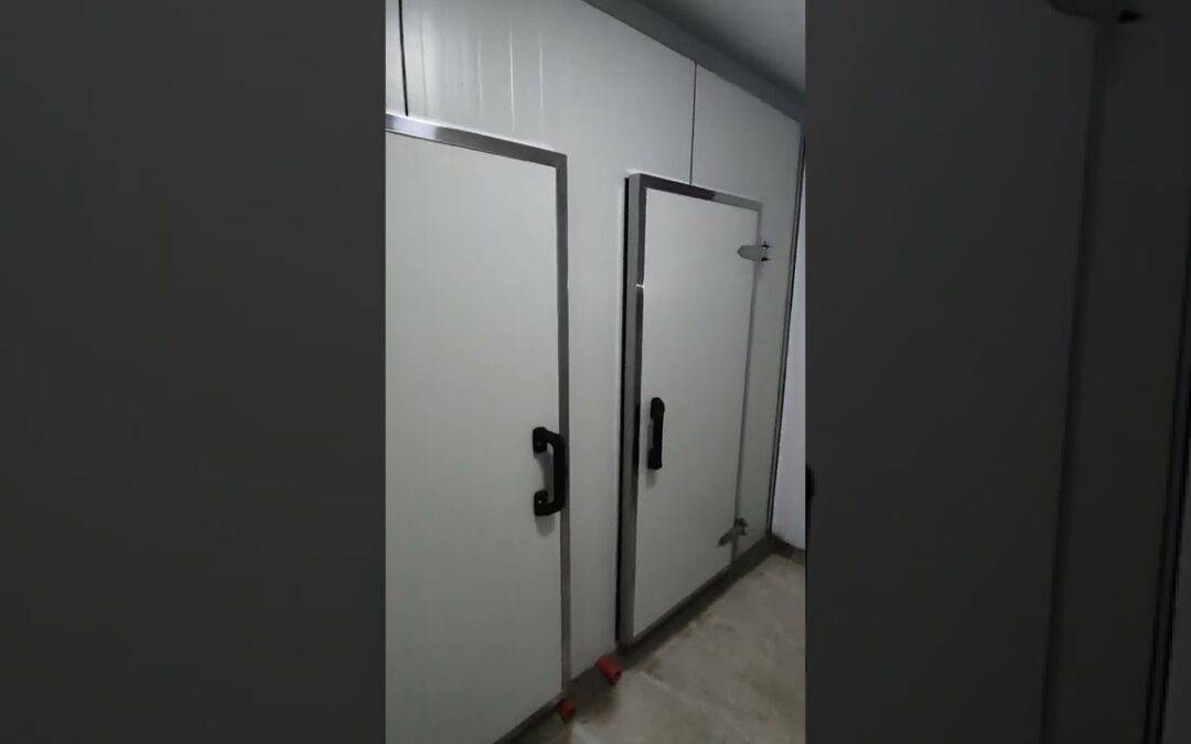 El impacto de un balero para cuartos fríos en la eficiencia térmica